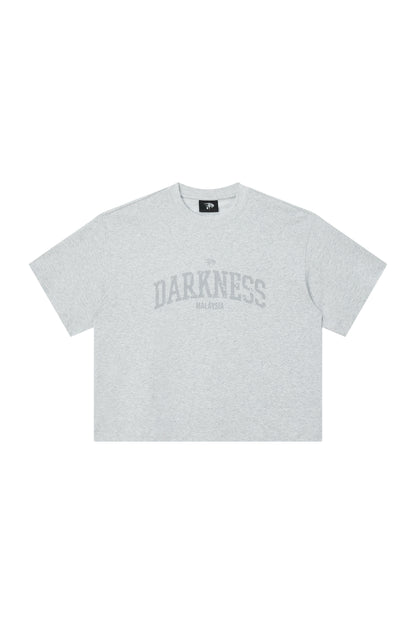 Distressed Boxy Tee | Grey