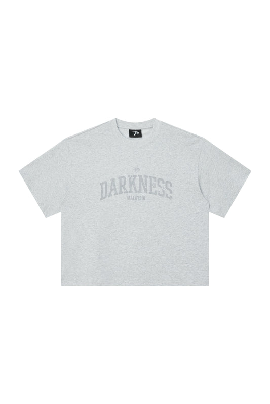 Distressed Boxy Tee | Grey