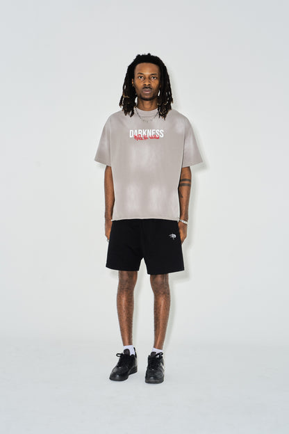 RTW Spray Washed Tee | Grey